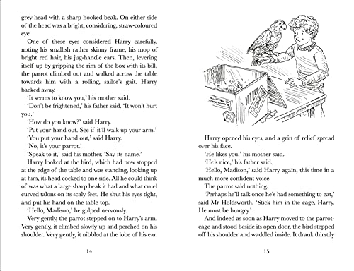 Harry's Mad - Retail Maharaj