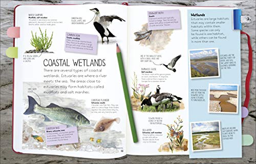 Nature Spotter - Retail Maharaj