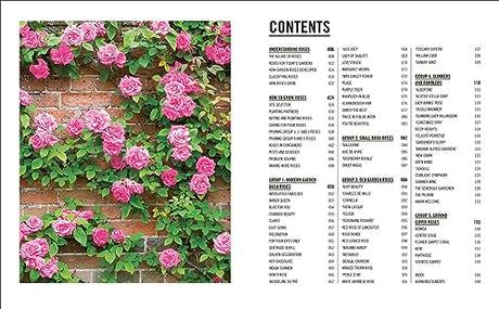 Grow Roses: Essential Know-how and Expert Advice for Gardening Success - Retail Maharaj