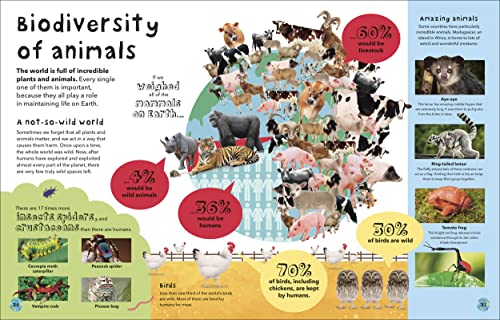 It's a Wonderful World: How to Protect the Planet and Change the Future - Retail Maharaj