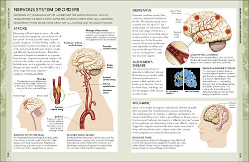 The Concise Human Body Book - Retail Maharaj