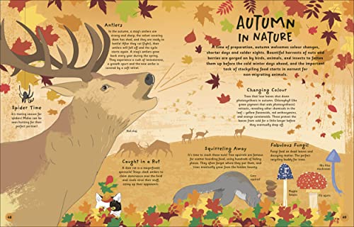 The Magic of Seasons: A Fascinating Guide to Seasons Around the World - Retail Maharaj