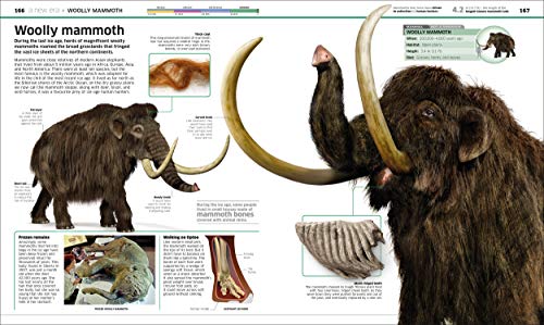 Knowledge Encyclopedia Dinosaur!: Over 60 Prehistoric Creatures as You've Never Seen Them Before - Retail Maharaj