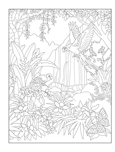 Creative Haven Tropical Wonders Coloring Book