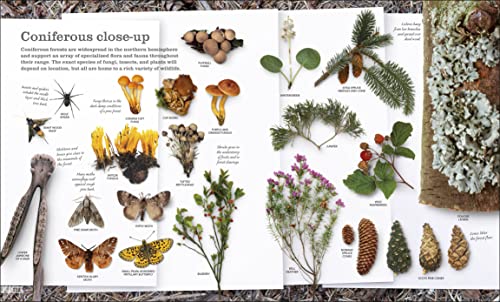 Chris Packham's Nature Handbook: Explore the Wonders of the Natural World - Retail Maharaj
