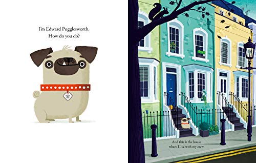 Dog Gone - Retail Maharaj