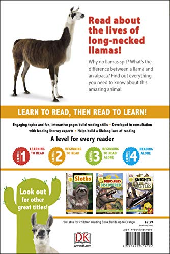 Llamas - Retail Maharaj