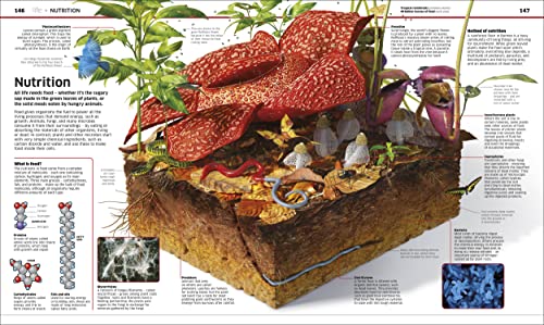 Knowledge Encyclopedia Science! - Retail Maharaj