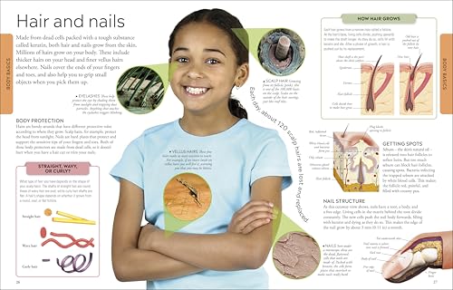 Human Body A Children's Encyclopedia - Retail Maharaj