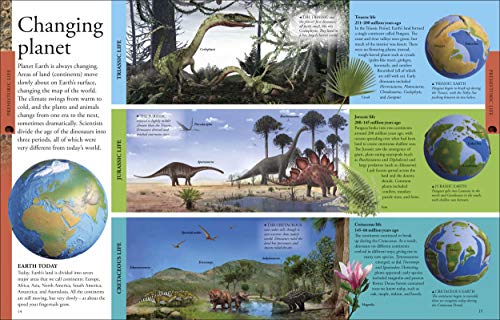 Dinosaurs A Children's Encyclopedia - Retail Maharaj