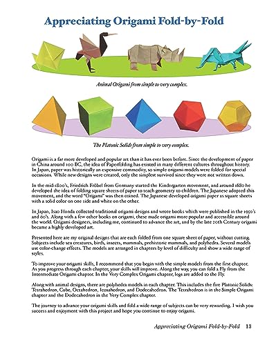 Origami Fold-by-Fold: Building Skills One Step at a Time from Beginner to Advanced - Retail Maharaj