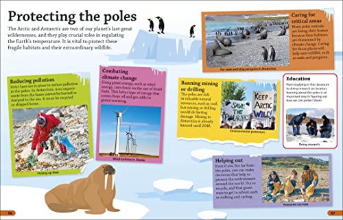 DKFindout! Arctic and Antarctic - Retail Maharaj