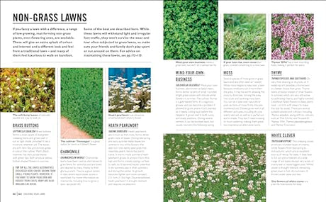 Grow Lawns: Essential Know-how and Expert Advice for Gardening Success - Retail Maharaj