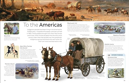 Horse - Retail Maharaj