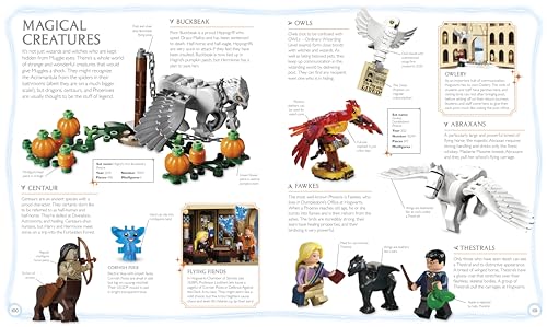 LEGO Harry Potter Visual Dictionary: With Exclusive Minifigure - Retail Maharaj