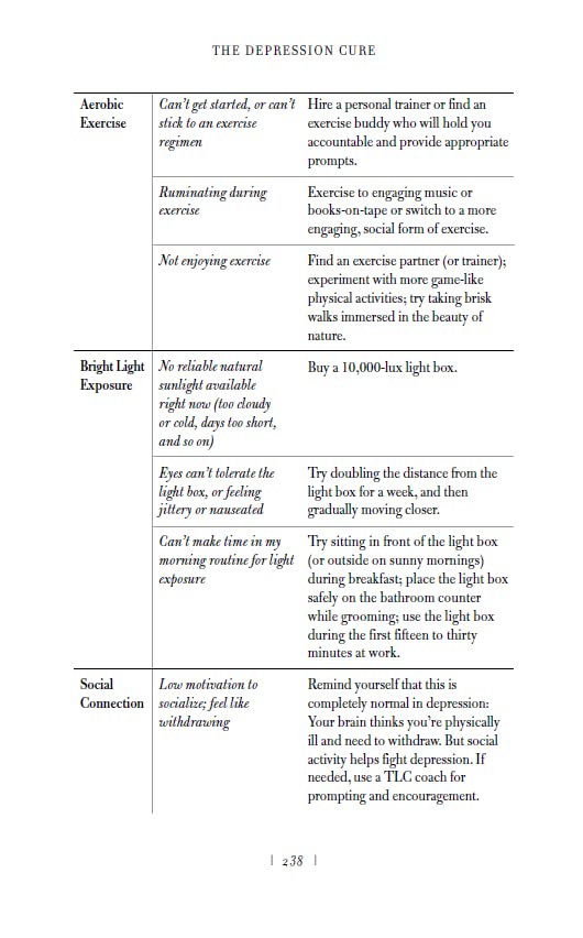 The Depression Cure: The Six-Step Programme to Beat Depression Without Drugs - Retail Maharaj