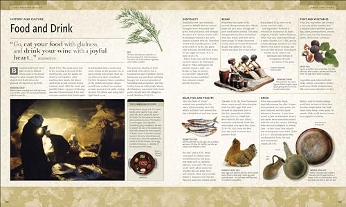 The Illustrated Bible Story by Story - Retail Maharaj