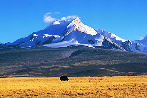 Nicholas Roerich / Ashok Dilwali: Inspired by The Himalayas - Retail Maharaj