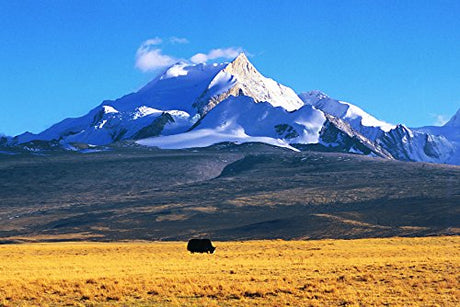 Nicholas Roerich / Ashok Dilwali: Inspired by The Himalayas - Retail Maharaj