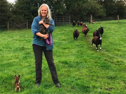 Bodacious: The Shepherd Cat - Retail Maharaj