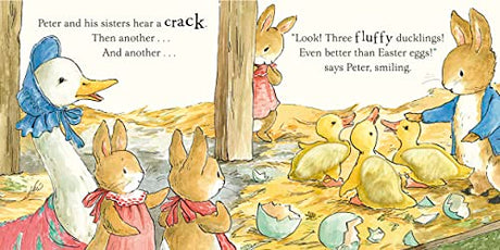 Peter Rabbit A Fluffy Easter Tale - Retail Maharaj