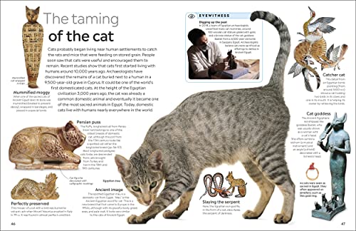 Cat (eyewitness) (DK Eyewitness) - Retail Maharaj