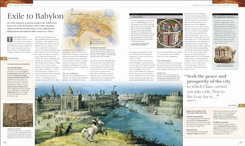 The Illustrated Bible Story by Story - Retail Maharaj