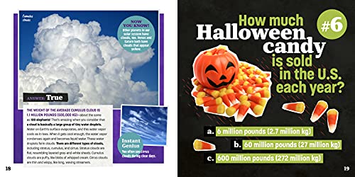 Totally Random Questions Volume 1: 101 Wild and Weird Q&As