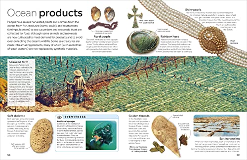 Ocean - Retail Maharaj