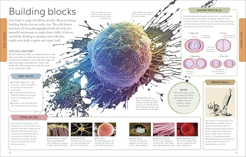 Human Body A Children's Encyclopedia - Retail Maharaj