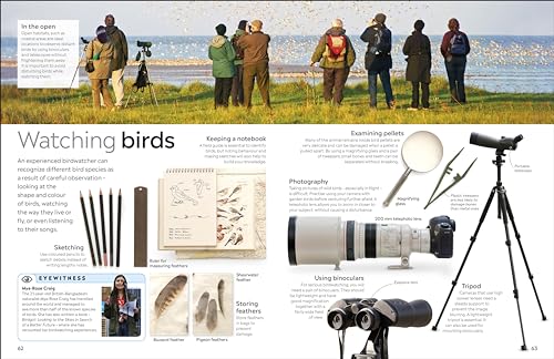 Bird (DK Eyewitness) - Retail Maharaj