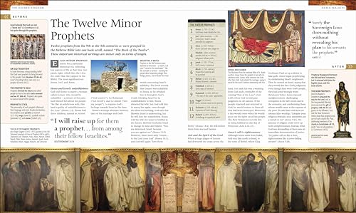 The Illustrated Bible Story by Story - Retail Maharaj