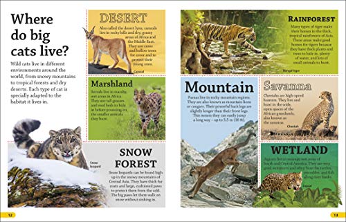 DKfindout! Big Cats - Retail Maharaj