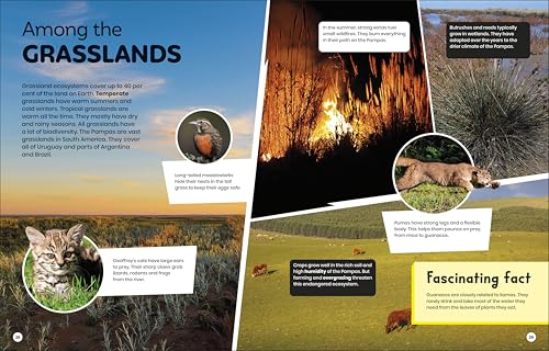 DK Super Planet Beautiful Biodiversity - Retail Maharaj