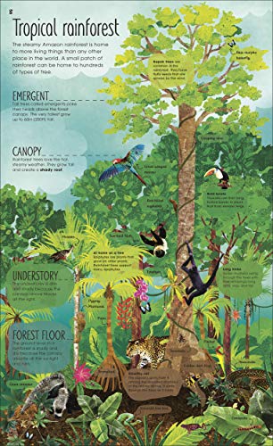 RHS The Magic and Mystery of Trees - Retail Maharaj