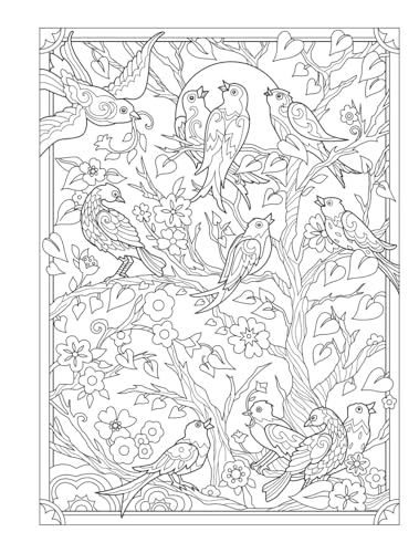 Creative Haven Birds and Blossoms Coloring Book - Retail Maharaj