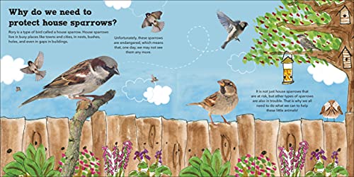 Rory the Garden Bird (Roly and Friends) - Retail Maharaj