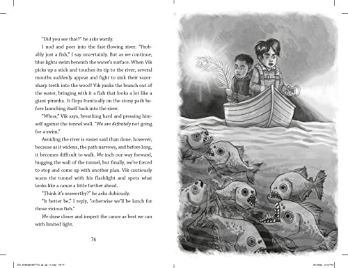 The Enchanted Bridge: 4 (Dragons in a Bag)