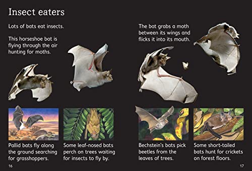 BATS - Retail Maharaj