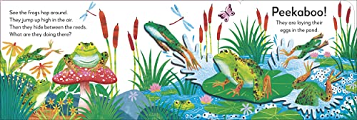 Pop-Up Peekaboo! Frog: Pop-Up Surprise Under Every Flap! - Retail Maharaj