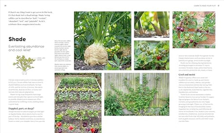RHS Grow Food Anywhere: How to Plant the Right Crops in the Right Place and Help Your Garden Thrive - Retail Maharaj
