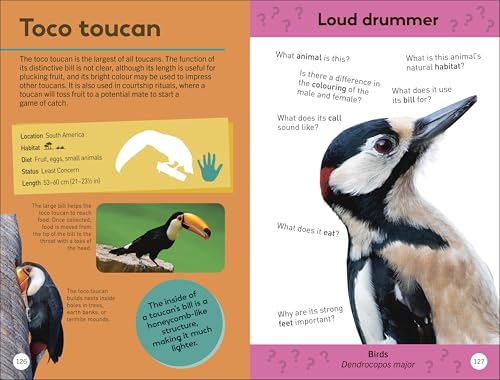 Quiz Yourself Clever! Animals of the World (DK Quiz Yourself Clever) - Retail Maharaj