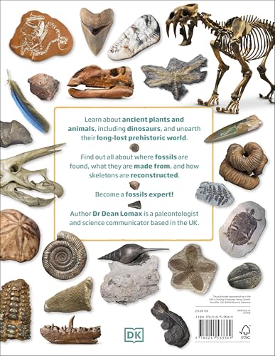 My Book of Fossils - Retail Maharaj