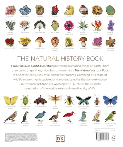 The Natural History Book: The Ultimate Visual Guide to Everything on Earth (DK Definitive Visual Encyclopedias) - Retail Maharaj