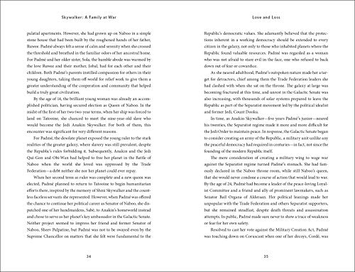 Star Wars Skywalker – A Family At War - Retail Maharaj