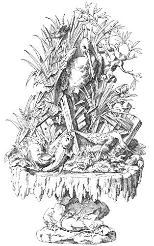 Fantastic Ornaments: A Pictorial Archive from Nineteenth-century Sources - Retail Maharaj