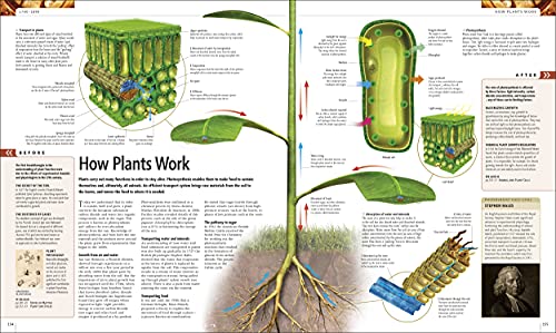 Science - Retail Maharaj