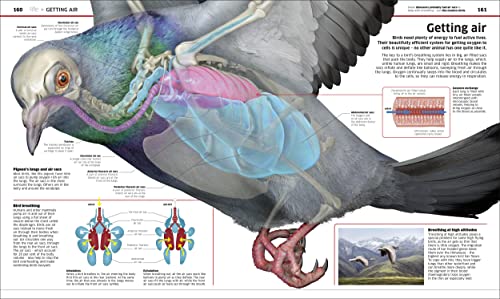 Knowledge Encyclopedia Science! - Retail Maharaj