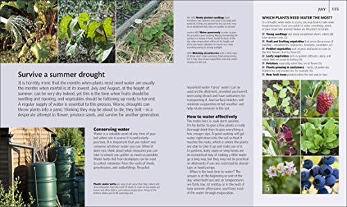 Allotment Month By Month - Retail Maharaj