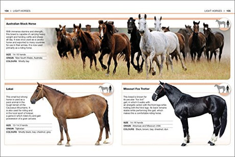 HORSES - Retail Maharaj